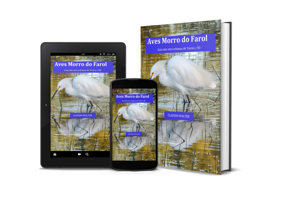Seu e-Book Aves Morro do Farol